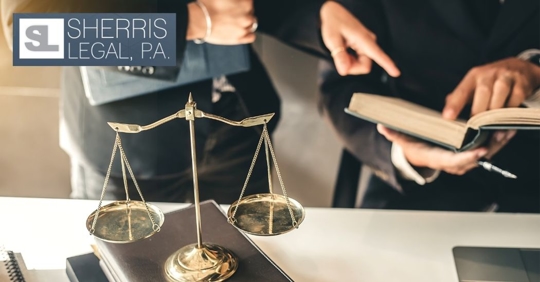 Two lawyers reviewing notes