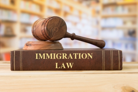 Gavel and immigration law book.