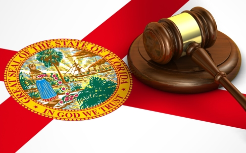 The seal of Florida and a gavel.